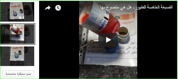 الصبغة الخاصة للطيور هل هي منصوح بها