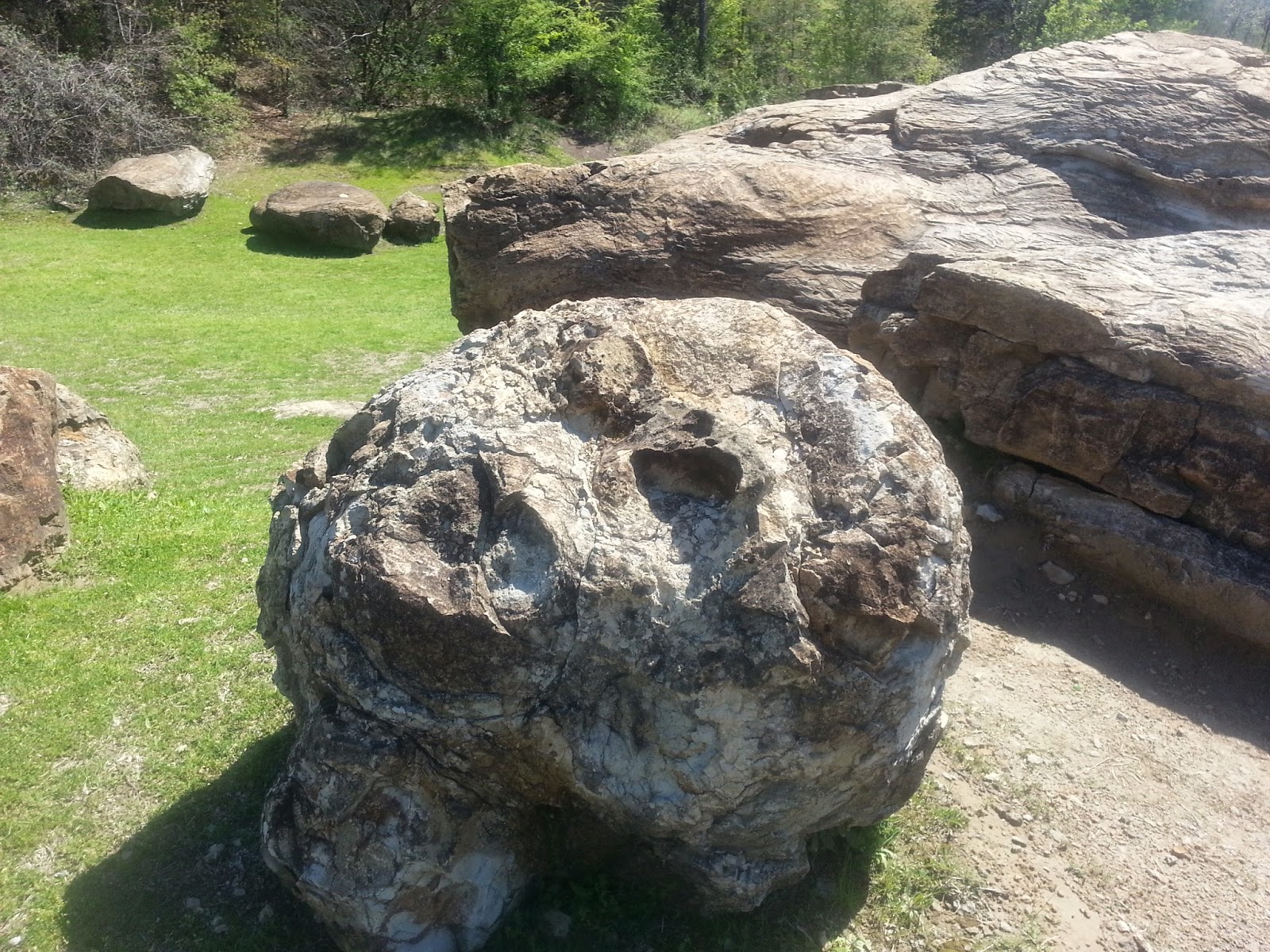 Rockhounding Around: The Wilcox Formation - Boulders & Red River levee ...