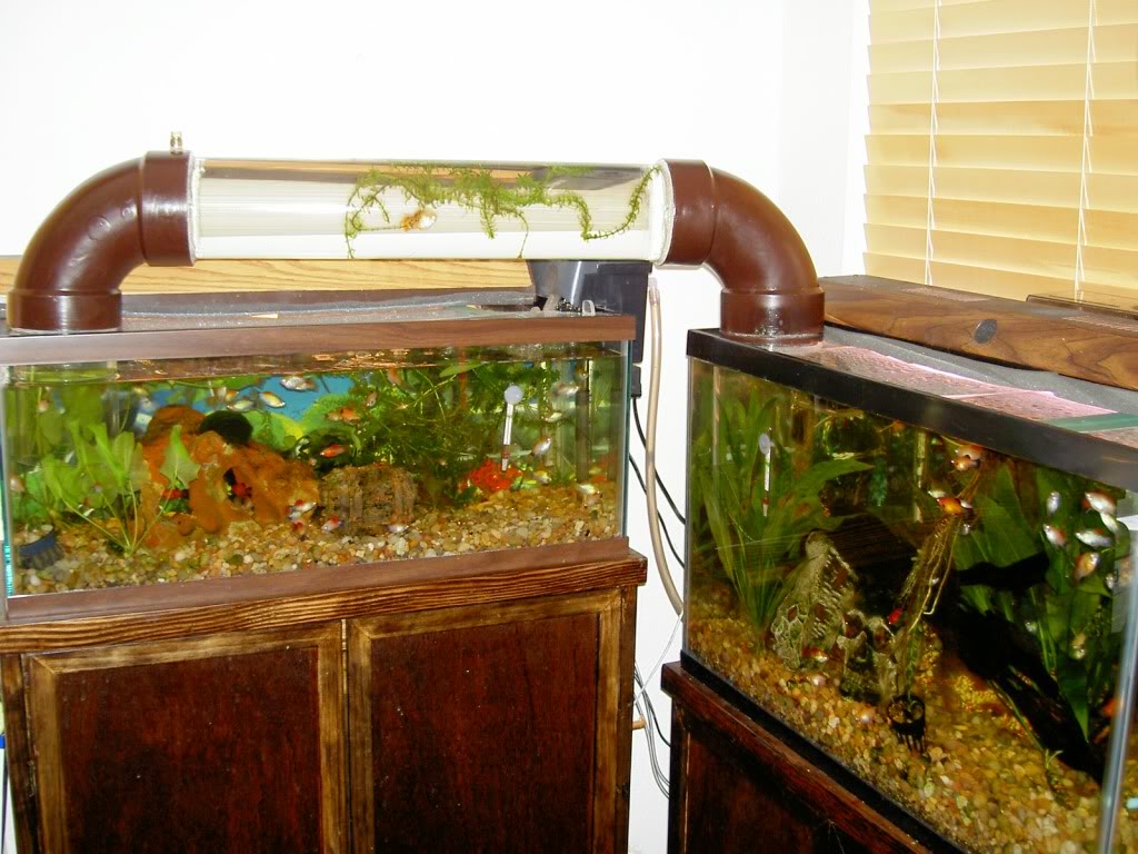 news 15 of the Coolest Aquariums