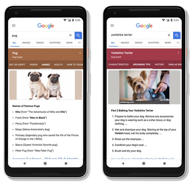 Google se actualiza con grandes novedades Organización dinámica de resultados