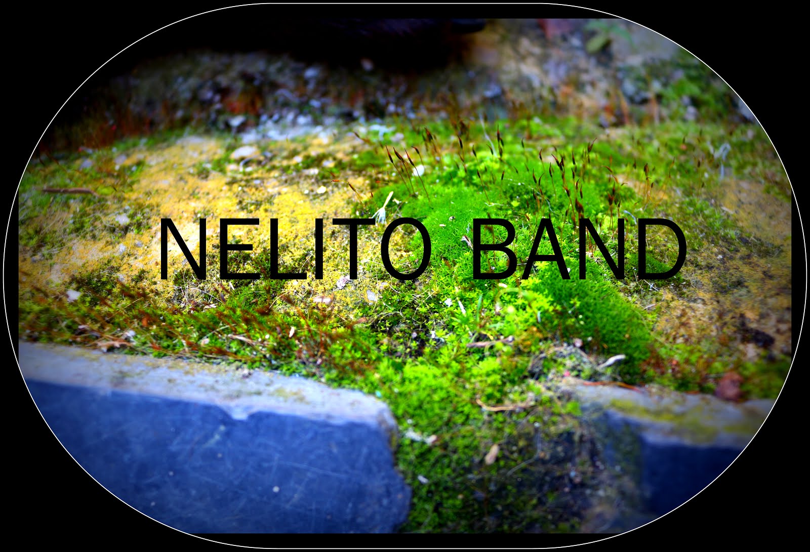 NELITO BAND