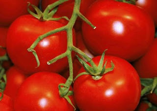  Buah yang satu ini memang boleh dibilang membingungkan Manfaat Tomat Untuk Kesehatan