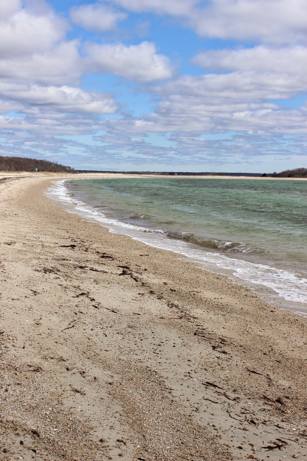 Tahoma Beadworks & Photography Side Trip to West Island, Fairhaven