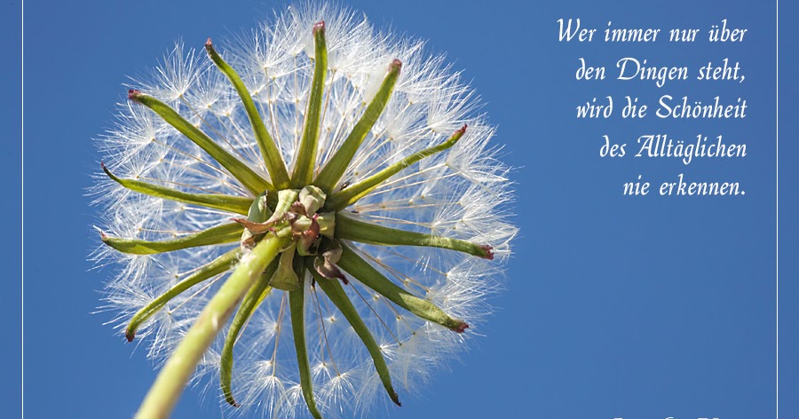 Download Schoenheit spruch For Free