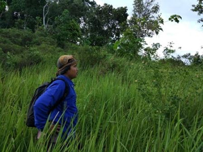 Mencari Jejak Bukit Pangonan Yang Konon Katanya padang ilalang Mencari Jejak Bukit Pangonan Yang Konon Katanya padang ilalang