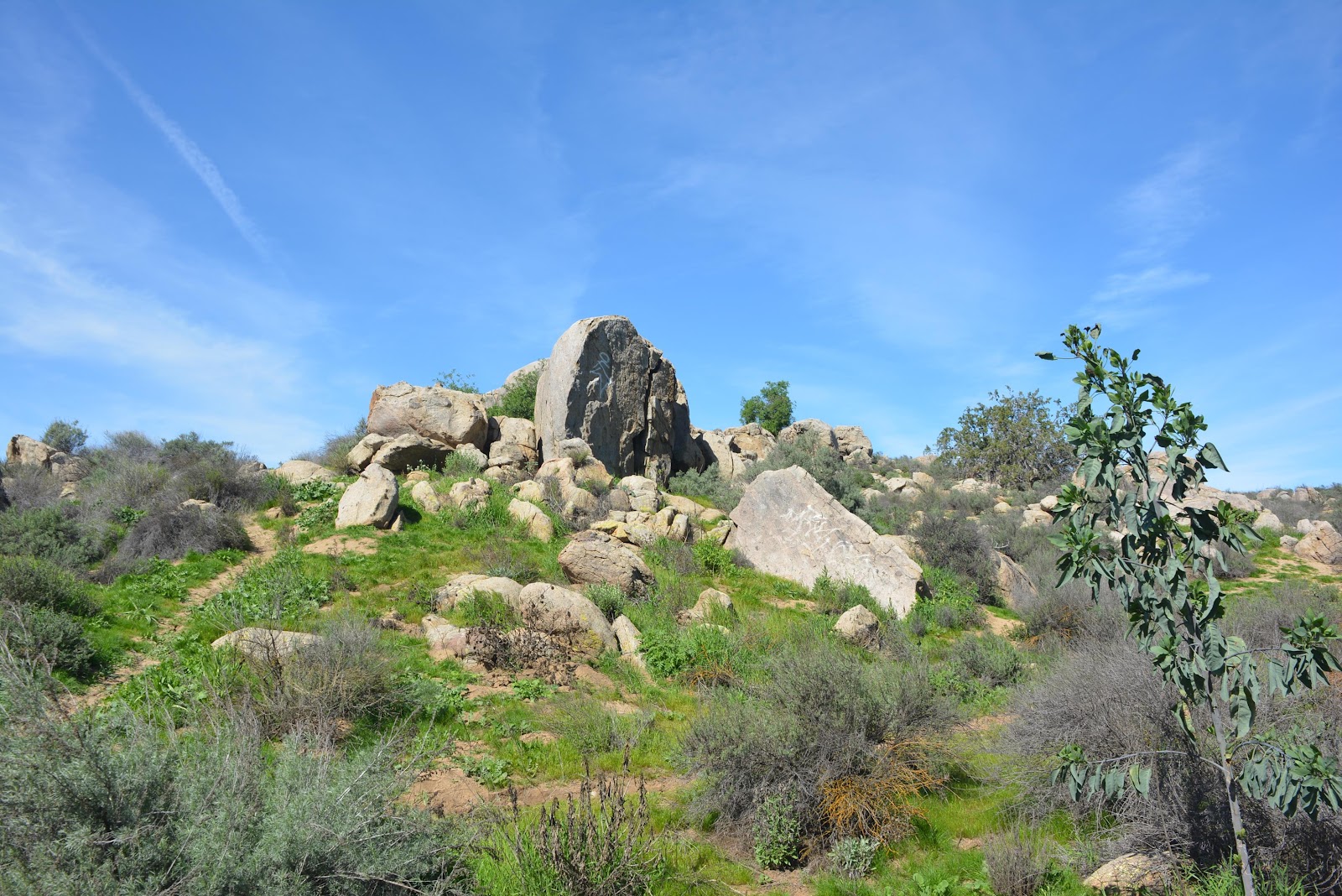 Mockingbird Canyon
