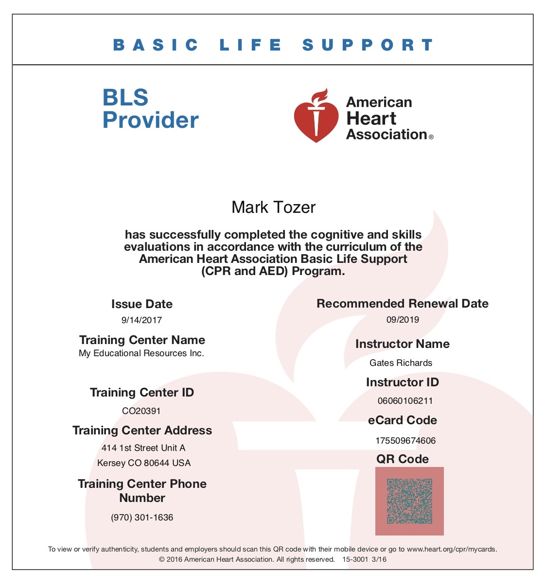 Mark Tozers Blog Aha Basic Life Support Cpr And Aed Provider