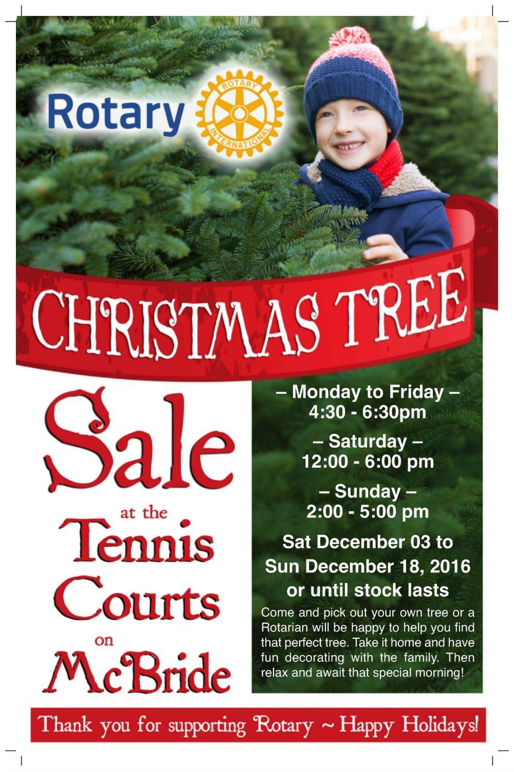 North Coast Review Rotary Club Christmas Tree Sales start this weekend
