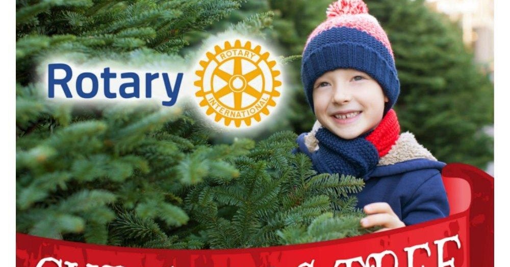 North Coast Review Rotary Club Christmas Tree Sales start this weekend