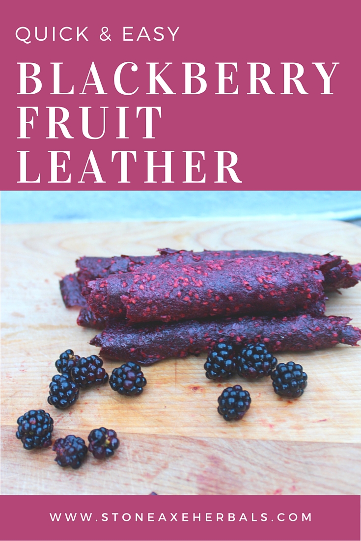 Simple and Easy Blackberry Fruit Leather