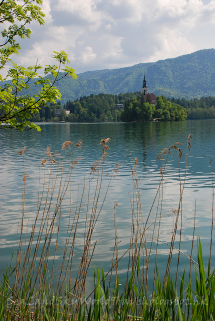 斯洛文尼亞, 碧湖, Lake Bled