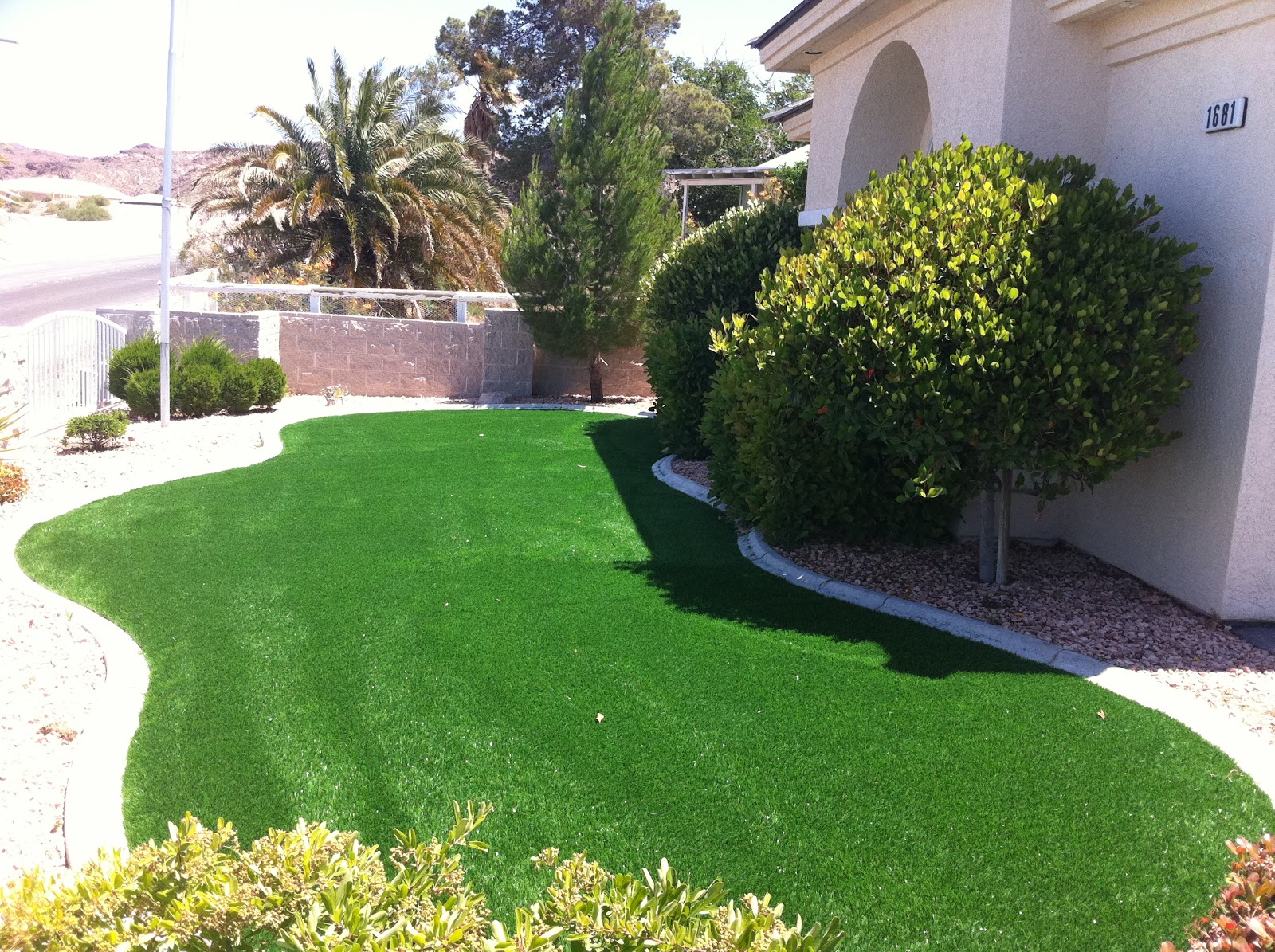 Synthetic Lawns Las Vegas May 2011