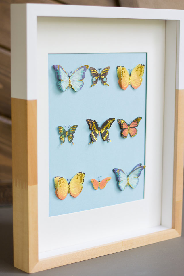 butterfly-art butterfly-art