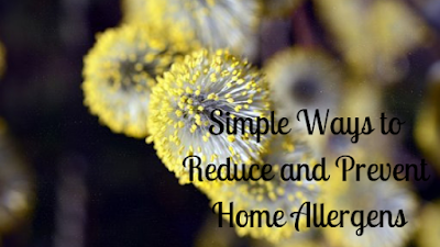 Simple Ways to Reduce and Prevent Home Allergens