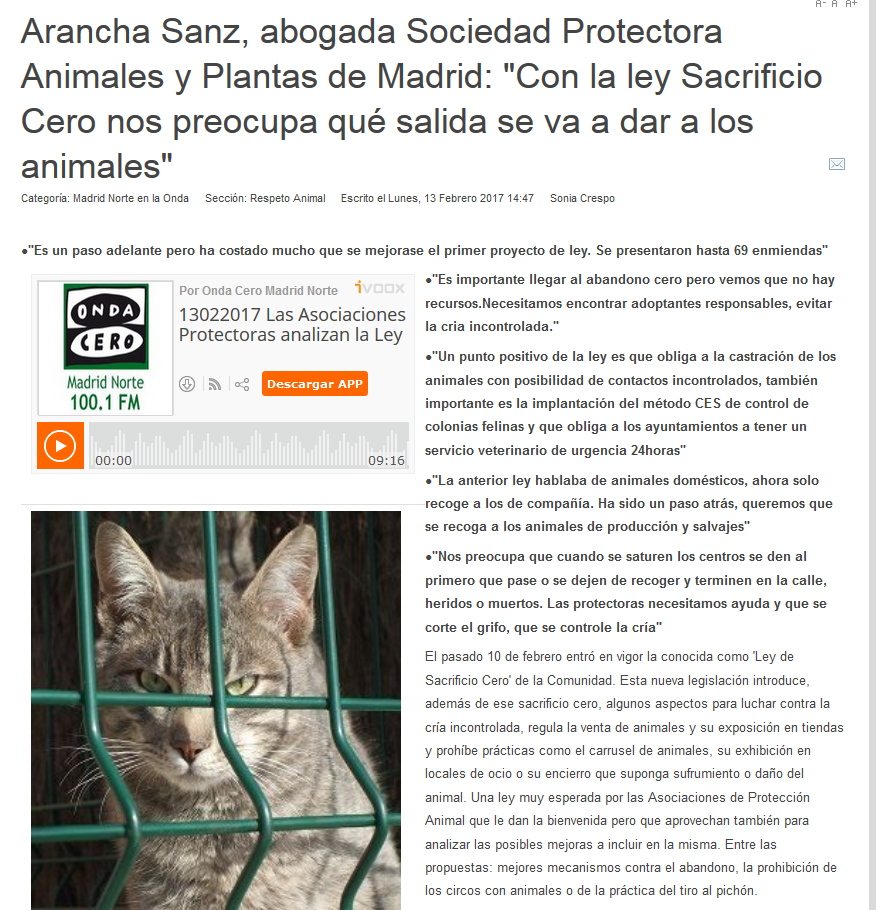 Acabemos con el maltrato a las palomas: Madrid, MALTRATO ANIMAL en su ...