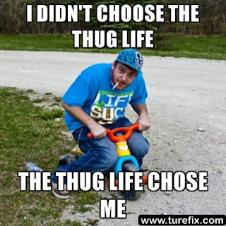 I Didn't Choose The Thug Life, funny awesome meme picture