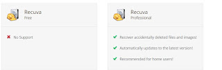 Gunakan Recuva Professional Untuk Akses Yang Lebih Baik