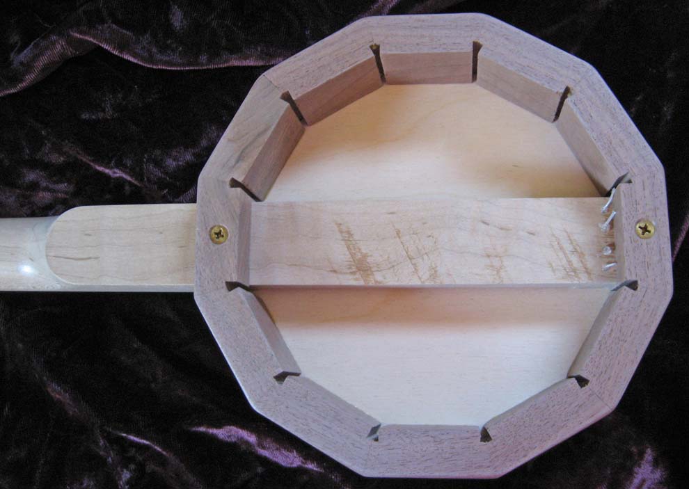 Flea Plucker Zither Heaven Banjo Ukulele Review