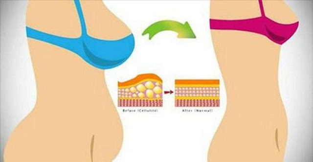 comment perdre de la graisse corporelle pure rapidement