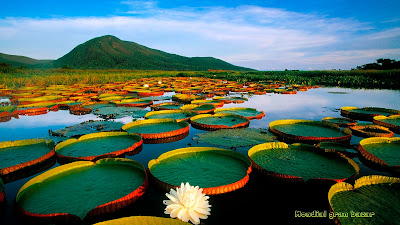 Spettacolari fotografica LA VERITA' E' CORAGGIO: 34 Bellissime immagini tratte dalla pagina