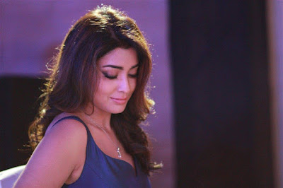shriya saran hot photoshoot 2018