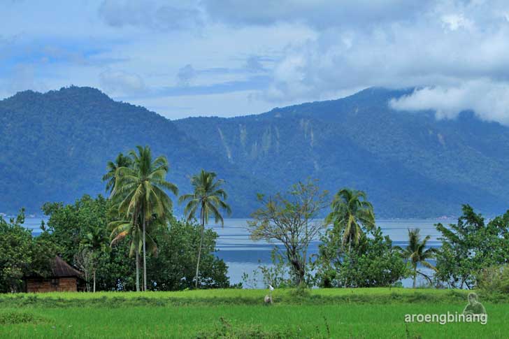 danau maninjau agam