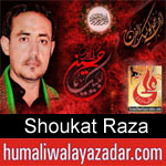 https://www.humaliwalyazadar.com/2018/08/shoukat-raza-nohay-2019.html