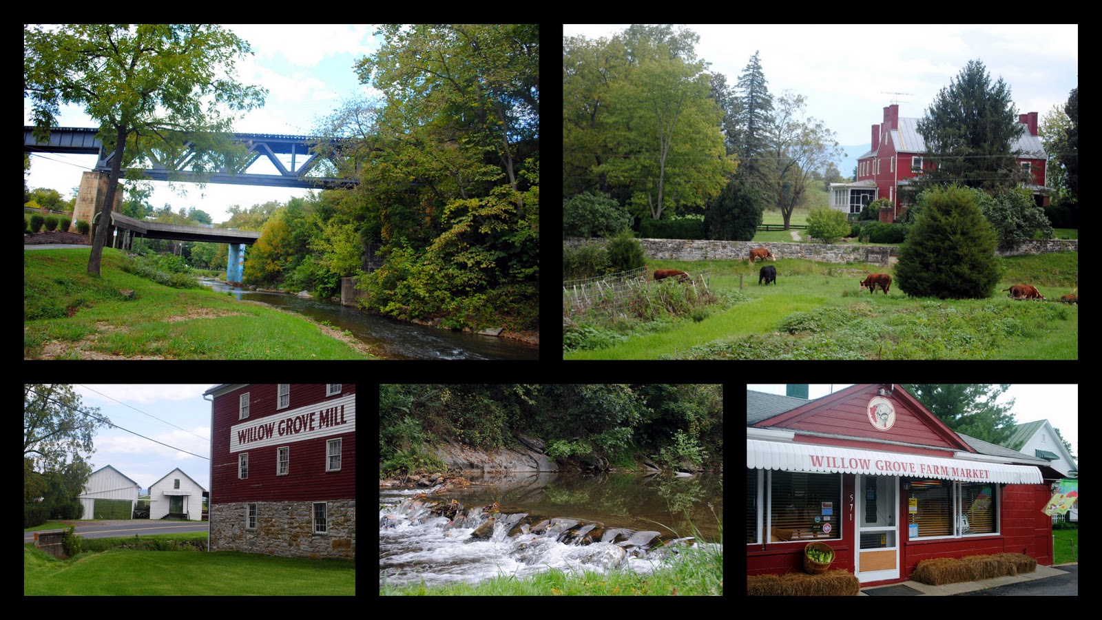 Knit One, Raised 4 Willow Grove Luray, Virginia