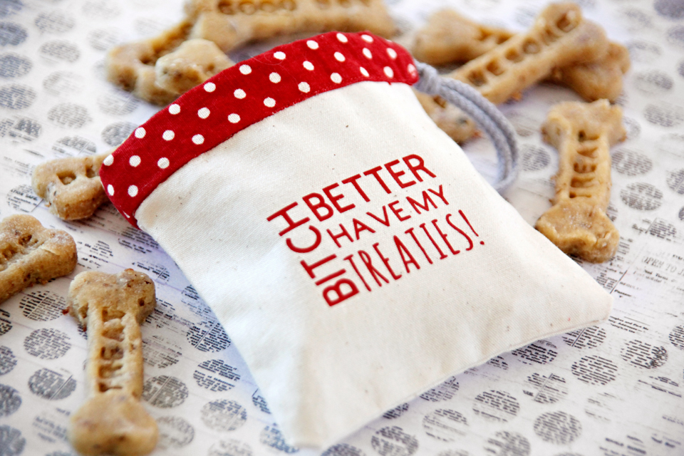 Creativity Unmasked DIY Drawstring Dog Treat Bag with Cricut IronOn