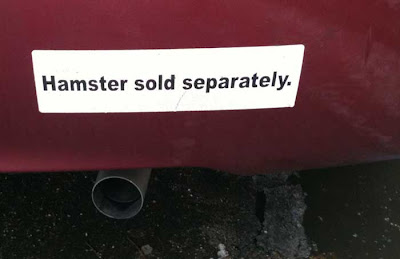 Bumpersticker on car: Hamster not included