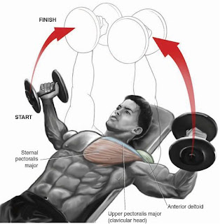 Top Supersets Chest Workout – Build Bigger, Stronger Pecs
