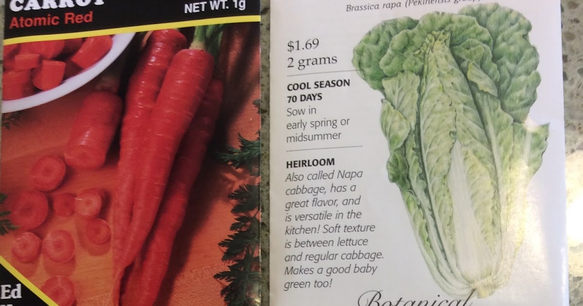 Daniel's Pacific NW Garden Final Seeds to plant in summer for Fall