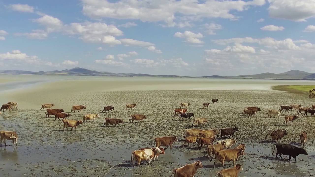 Alışılmamış bir doğa fenomeni - permafrost Alışılmamış bir doğa fenomeni - permafrost