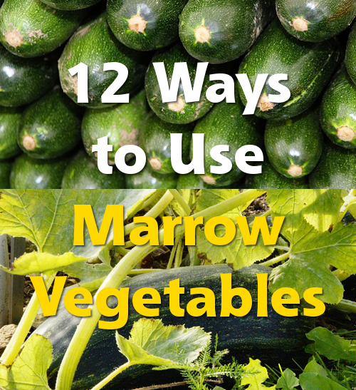 12 Ways to Use Marrow Vegetables what to do with a vegetable marrow glut