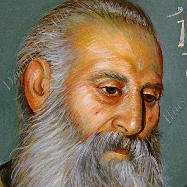 Αποτέλεσμα εικόνας για animal