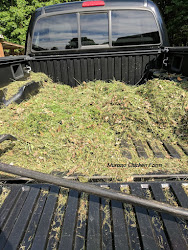 chicken bedding sand coop grass choosing clippings dried dry