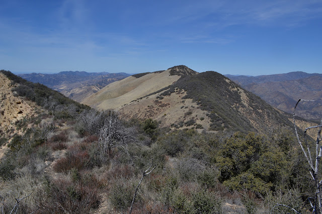 Bald Mountain from end on