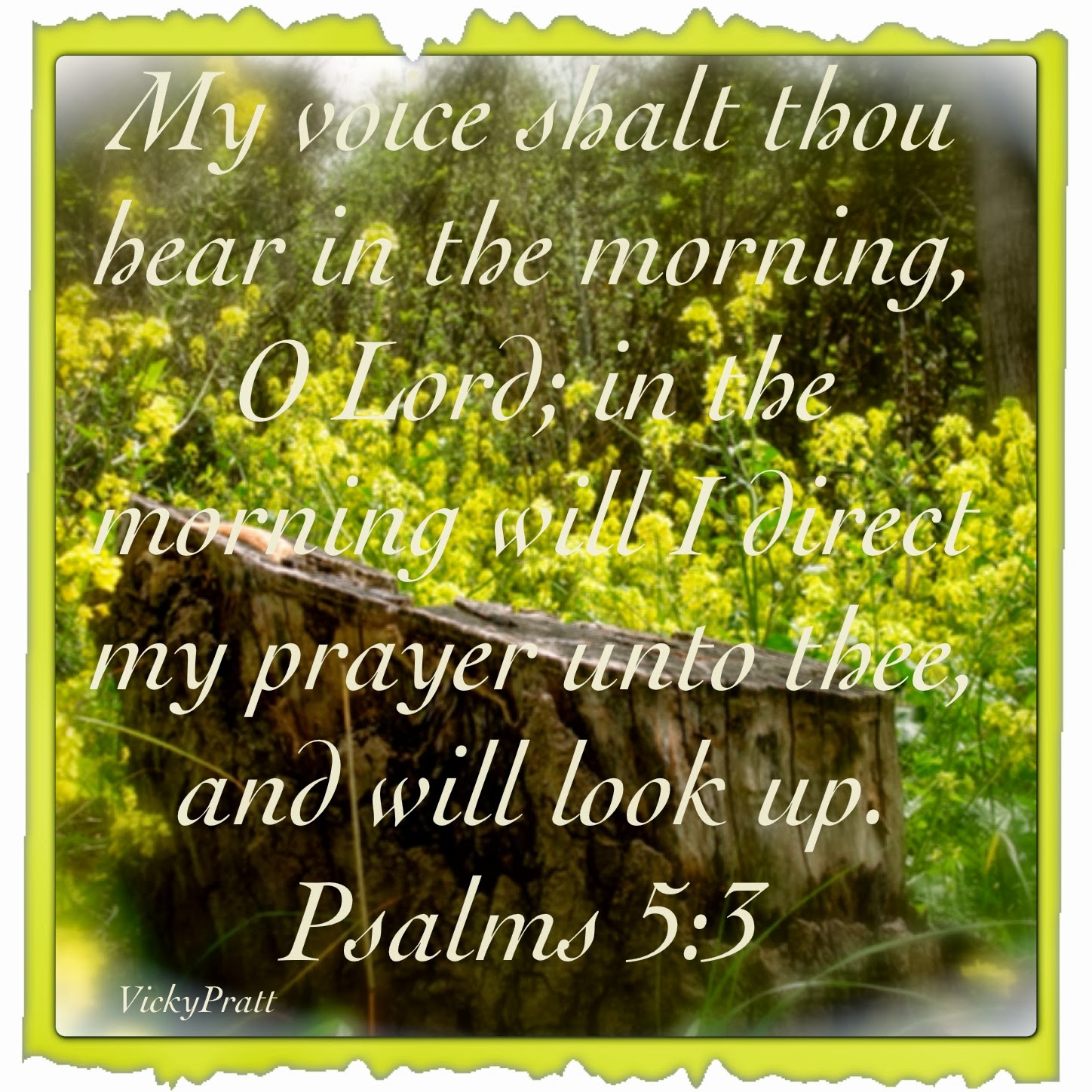 a-daughter-of-the-king-psalms-5