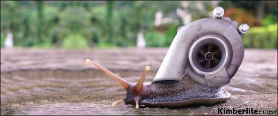 CARACOL.JPG