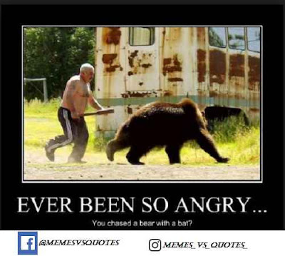 Best mad meme, anger memes Chased a bear with a bat