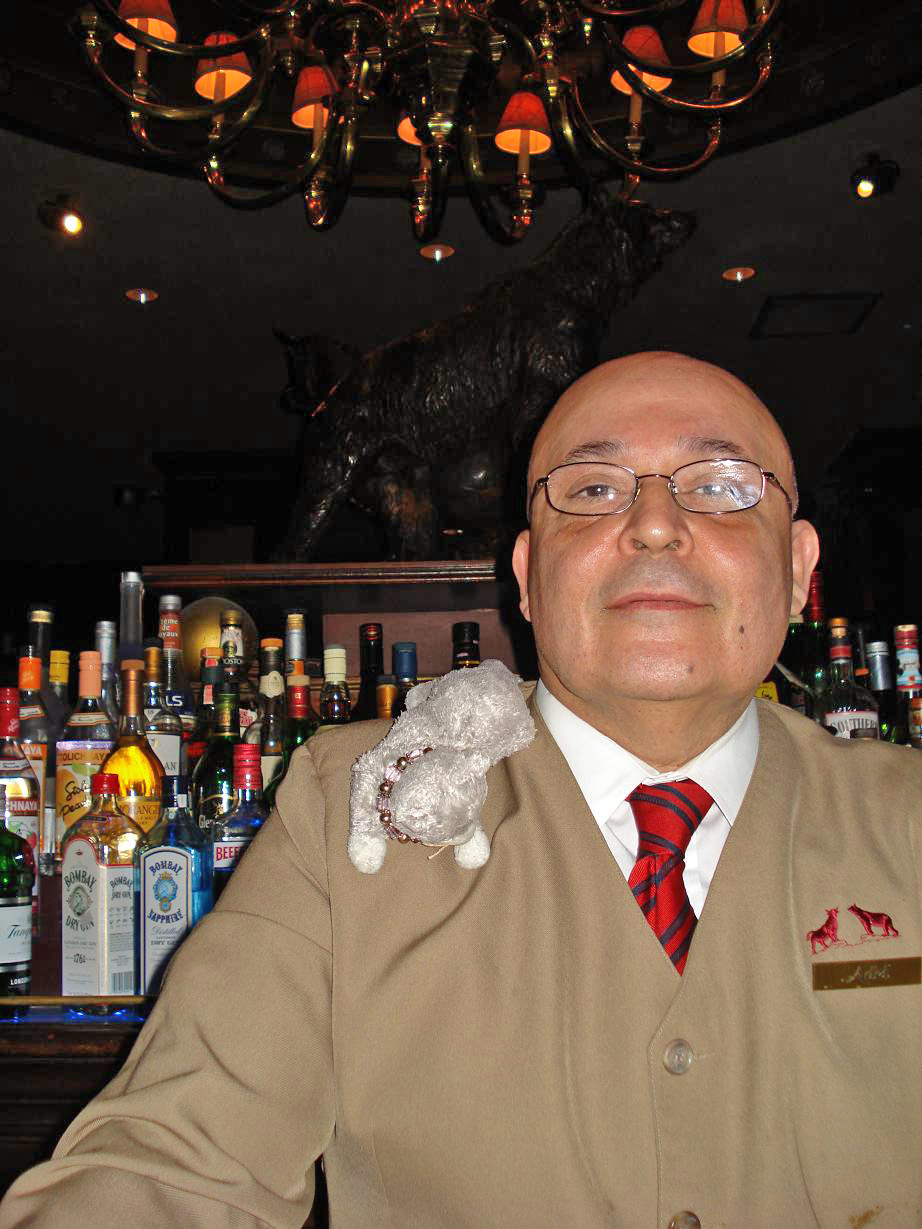 Bag Zebra Pictures Bar Manager