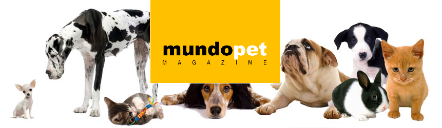 ** Mundo Pet Magazine **