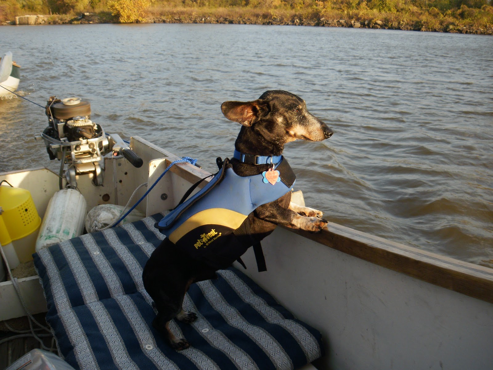 C2's Cruising Adventures Arkansas River Trip Days 1213 Applegate Cove Marina