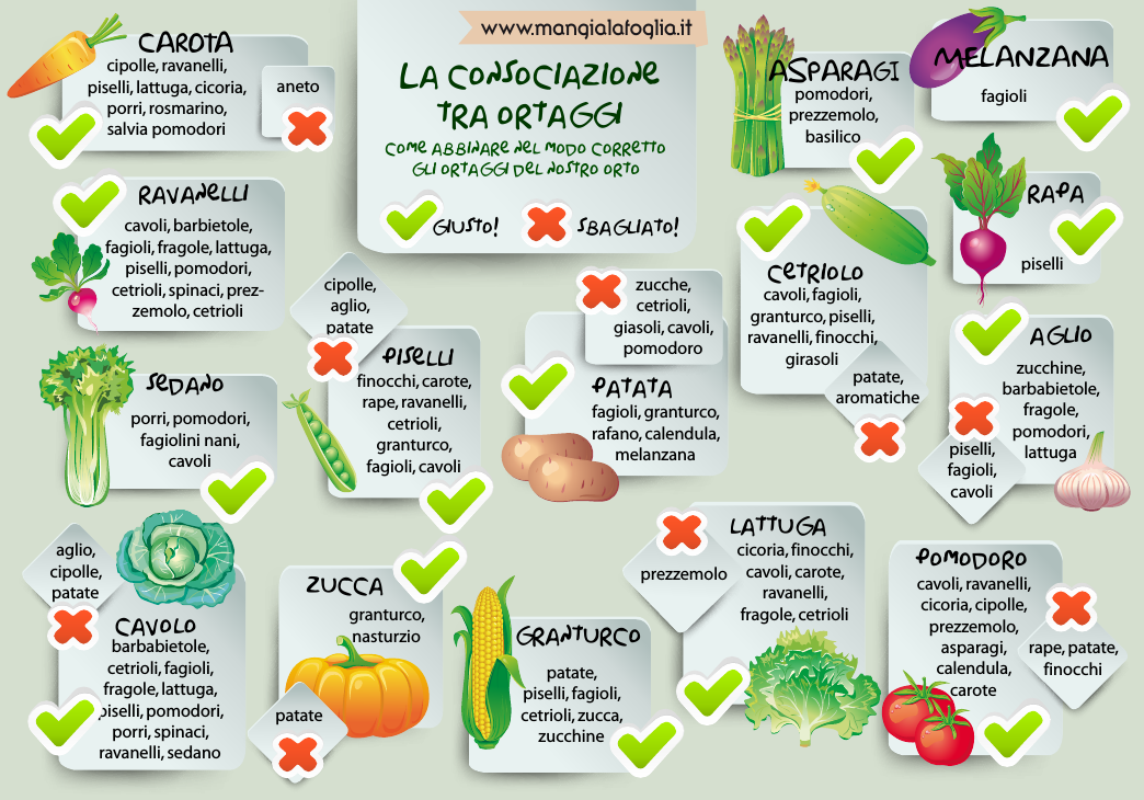 Orto Bio per l'Integrazione Orto Bio per l'Integrazione