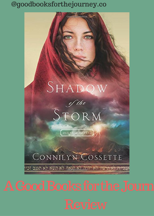 Review of Christian fiction Shadow of the Storm Review of Christian fiction Shadow of the Storm