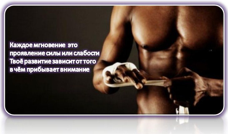 вдохновляющие цитаты. преодоление трудностей картинки. уменьшение давления физика 7 класс. мотивация цитаты. нельзя проявлять слабость.