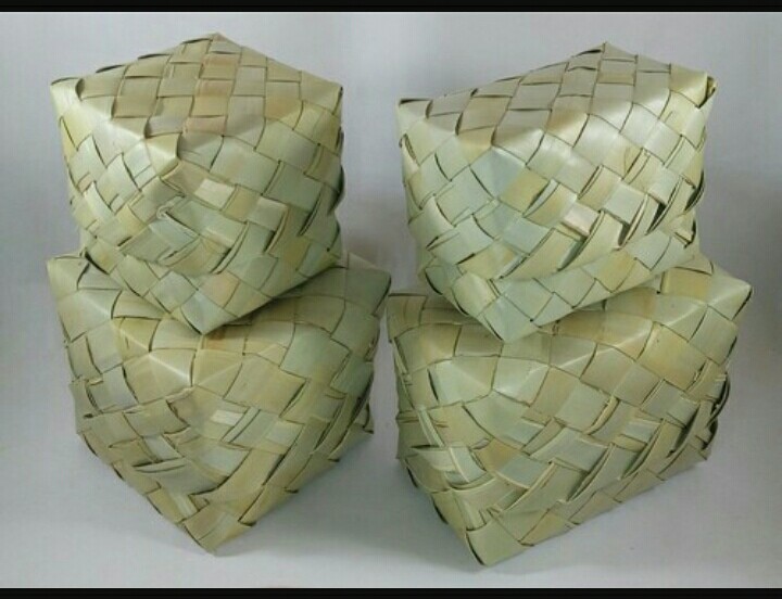 PALM TREE USES NATURE AND FARMING