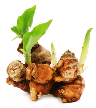 https://www.massalam.com/ https://www.massalam.com/