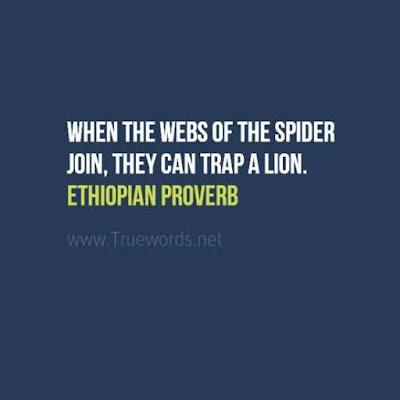 When the webs of the spider join, they can trap a lion
