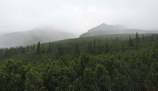 Widok w kierunku Kościelca. Widok w kierunku Kościelca.
